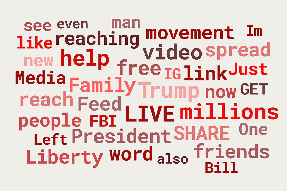 This word cloud contains the most commonly used words by prominent people in the right (Alex Jones, Billy Roper, Christopher Cantwell, David Duke, James Allsup, Jason Kessler, Pamela Geller, Patrick Little, Peter Brimelow, Richard Spencer) when News21 tracked their posts on various social media platforms (Facebook, GAB, Twitter, YouTube, VK, and WrongThink) from June 10 to June 24.